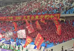 主场球迷呐喊助威，士气持续攀升